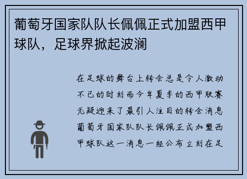 葡萄牙国家队队长佩佩正式加盟西甲球队，足球界掀起波澜
